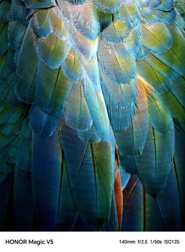 (Image source: Honor)
