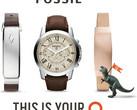 Fossil Group acquires Misfit