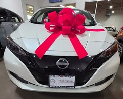 The Nissan Leaf. Woman racially abused gifted EV so she never changes oil again (Image source: Makayla Starks)
