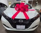 The Nissan Leaf. Woman racially abused gifted EV so she never changes oil again (Image source: Makayla Starks)