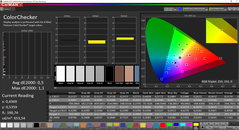 CalMAN ColorChecker calibrated (target color space P3)