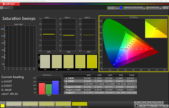 CalMAN Saturation calibrated