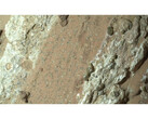 NASA's Perseverance Rover found claystones covered in markings nicknamed "leopard spots" and "poppy seeds". (Image source: NASA)