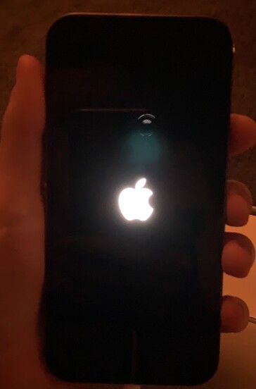 Some more images linked to the new "iPhone 12 green tint" problem. (Source: Apple Support Communities, MacRumors)