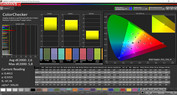 ColorChecker (Profile: Cinema, target color range: P3)