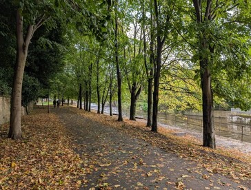 Pixel 9 Pro XL excels in these outdoor shots. (Image source: CNET)