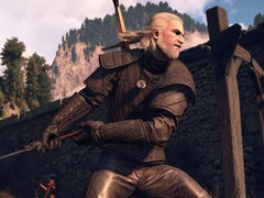 Image from the game The Witcher 3: Wild Hunt. (Image source: CD Projekt Red)
