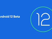 Android 12 Beta 4 is available on multiple devices now. (Image source: Google)