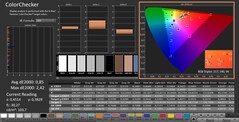 CalMAN: ColorChecker (calibrated)