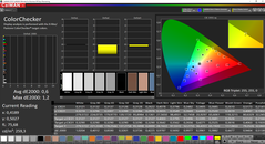 CalMAN - ColorChecker (calibrated)