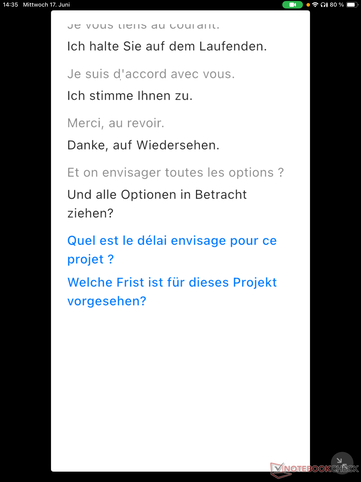 The translation of the video conference was of acceptable quality, with only a few errors due to pronunciation.