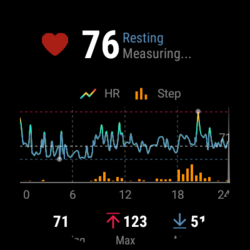 Screenshot of the pulse curve on the watch display