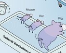Ig Nobel awarded to Japanese researchers demonstrating back end ventillation of animals works. (Image source: Mammalian enteral ventilation ameliorates respiratory failure by R. Okabe et al.)