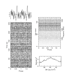 Perhaps a pulsar? (source: Pulsar Seekers)