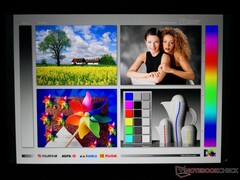 Wide IPS viewing angles. Colors and contrast change slightly if viewing from extreme angles