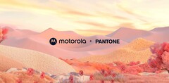 Another Motorola x Pantone Razr+ colorway is here. (Source: Motorola) 