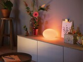 The Philips Hue Flourish Table lamp