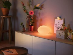 The Philips Hue Flourish Table lamp