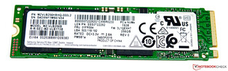 256 GB NVMe SSD