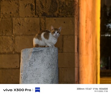 Vivo X300 Pro 200 mm with teleconverter.