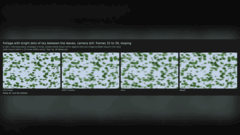 AMD FSR 4.1.1 original, lossy and lossy2 rendering comparison showing moving foliage.