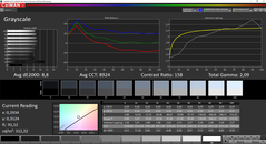 CalMAN: Greyscale – Sure View enabled