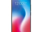 The Vivo V9 seems to be one of the better IPhone X copycats out there. (Source: Vivo)
