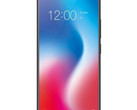The Vivo V9 seems to be one of the better IPhone X copycats out there. (Source: Vivo)