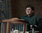 On Reddit, Harry Potter fans are discussing emotional book moments that should not be left out of the HBO series.