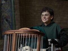 On Reddit, Harry Potter fans are discussing emotional book moments that should not be left out of the HBO series.
