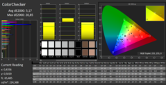 CalMAN - Color Checker (calibrated)