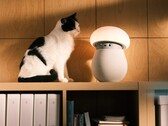 The OKA Mori home companion robot gives people attention, helping them feel calmer, more relaxed, and better connected.