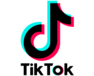 TikTok's parent company is wading into well-travelled waters (Image source: TikTok)