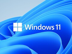 The official Microsoft Windows 11 product branding.