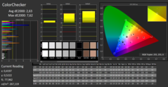 CalMAN - ColorChecker (calibrated)