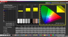 CalMAN ColorChecker calibrated (target color space P3)