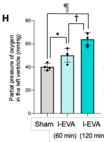 Oxygenated perfluorodecalin introduced into the back end of mice significantly increased the amount of oxygen in the bloodstream when measured at the heart. (Image source: Mammalian enteral ventilation ameliorates respiratory failure by Ryo Okabe et al.)