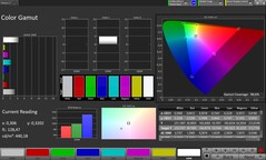 CalMAN Color Space