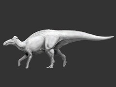 Edmontosaurus annectens is the first dinosaur known to have had hoof-like feet. (Image source: Science.org)