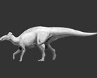 Edmontosaurus annectens is the first dinosaur known to have had hoof-like feet. (Image source: Science.org)