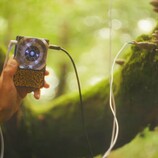 Pocket Scion creates music based on the electrical activity of plants. (Image source: Instruō)