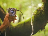 Pocket Scion creates music based on the electrical activity of plants. (Image source: Instruō)