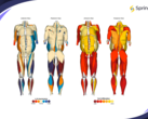 Springbok Analytics provides 3D muscle analysis powered by AI. (Source: Springbok Analytics)