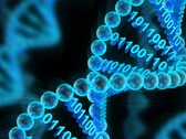 Microsoft Research and UW have demonstrated automated data archival and retrieval in a DNA molecule. (Source: The Conversation)