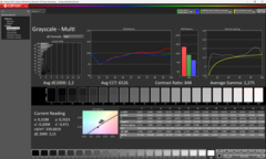 Grayscale before calibration