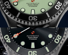 Timex divers