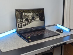 The Nitro V 17 ANV17-41 is a good affordable gaming laptop