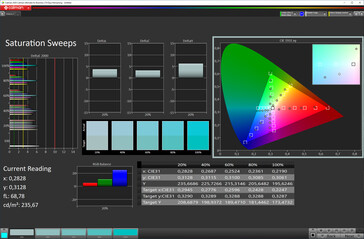 Color saturation (Standard color mode, Warm color temperature, sRGB target color space)