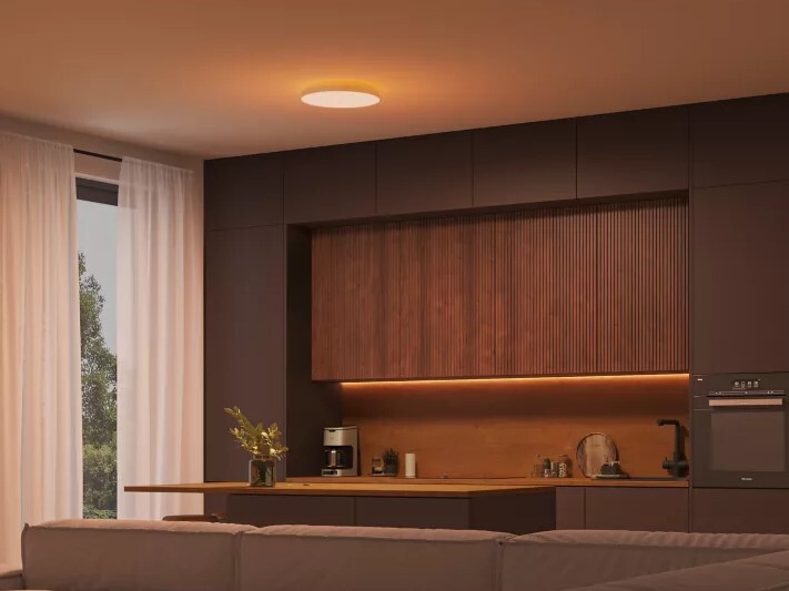 (Image source: Philips Hue)