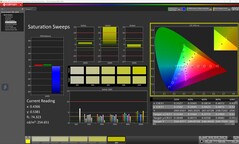 CalMAN: color saturation (calibrated)